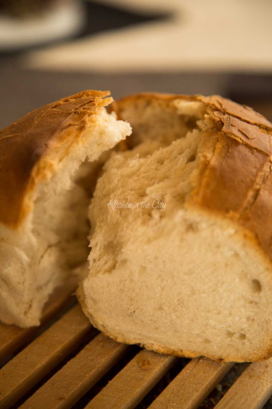 Pane-pasta-madre-1