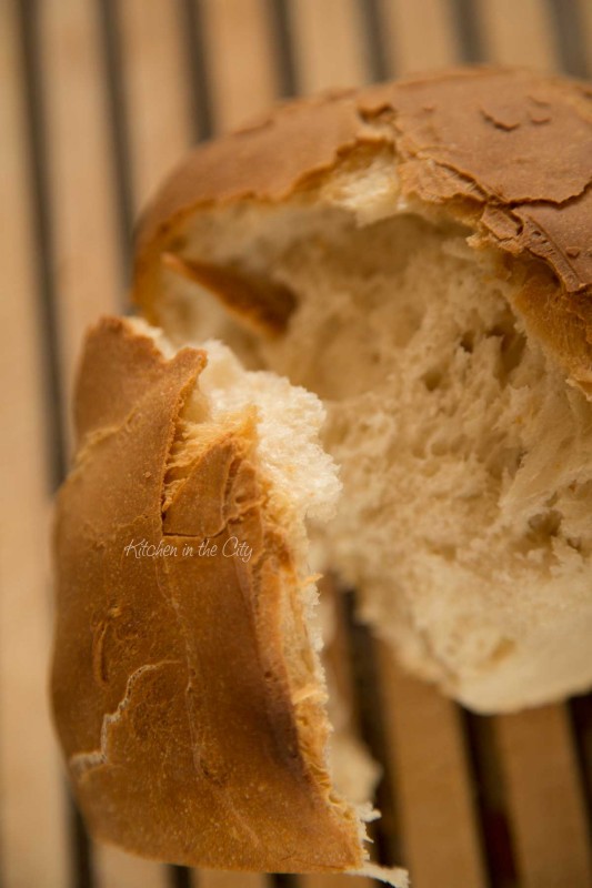 Pane-pasta-madre-2